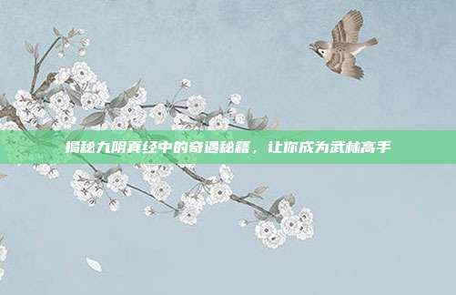 揭秘九阴真经中的奇遇秘籍,让你成为武林高手