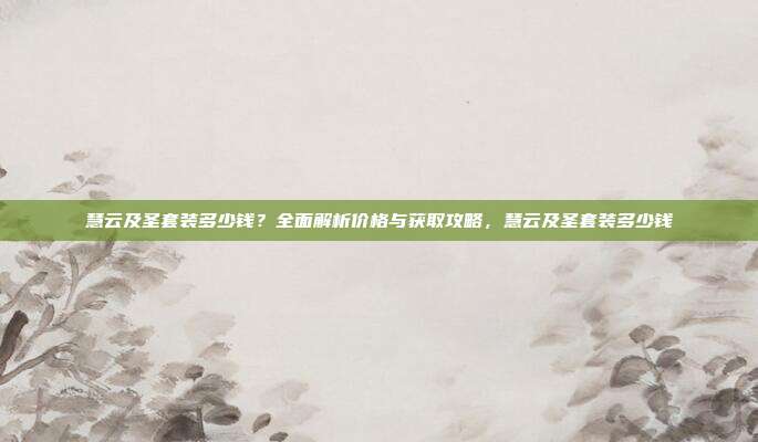 慧云及圣套装多少钱？全面解析价格与获取攻略，慧云及圣套装多少钱