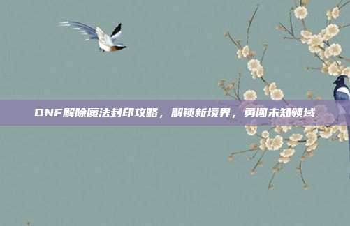 DNF解除魔法封印攻略,解锁新境界,勇闯未知领域
