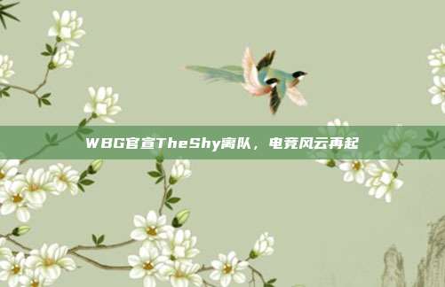 WBG官宣TheShy离队,电竞风云再起
