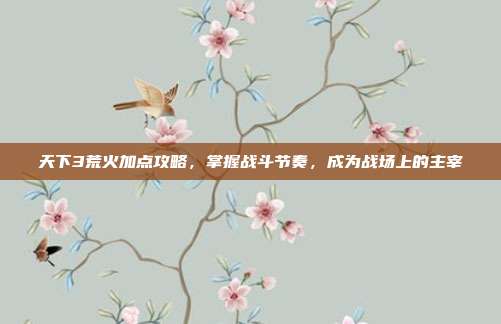 天下3荒火加点攻略,掌握战斗节奏,成为战场上的主宰