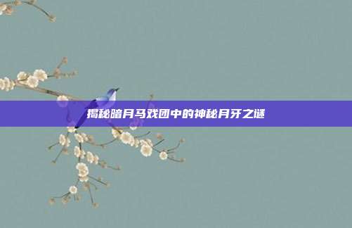 揭秘暗月马戏团中的神秘月牙之谜