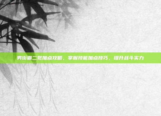 男街霸二觉加点攻略,掌握技能加点技巧,提升战斗实力