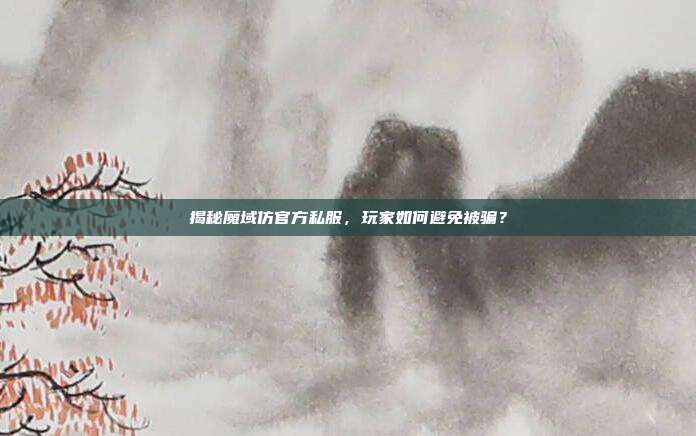 揭秘魔域仿官方私服,玩家如何避免被骗?