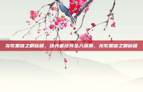 龙歌黑暗之眼秘籍，逐光者终将坠入深渊，龙歌黑暗之眼秘籍
