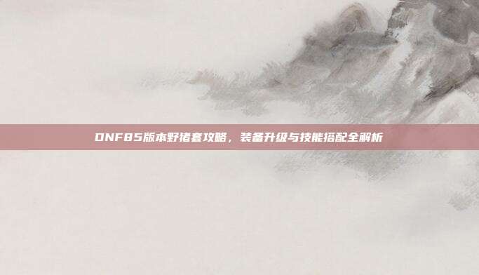 DNF85版本野猪套攻略，装备升级与技能搭配全解析
