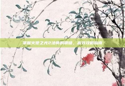 掌握火炬之光2法师的精髓,高效攻略指南