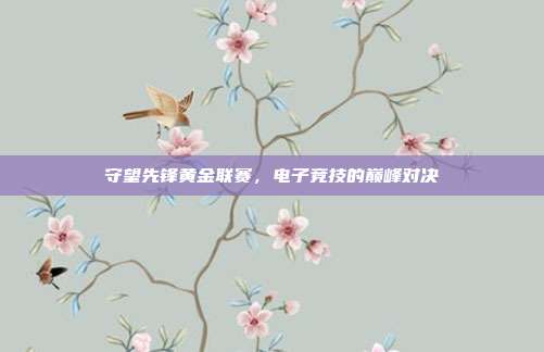 守望先锋黄金联赛,电子竞技的巅峰对决