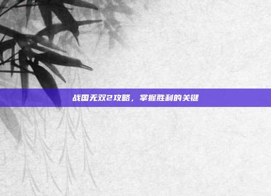 战国无双2攻略，掌握胜利的关键