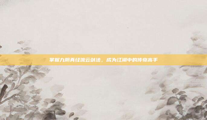 掌握九阴真经流云剑法,成为江湖中的传奇高手