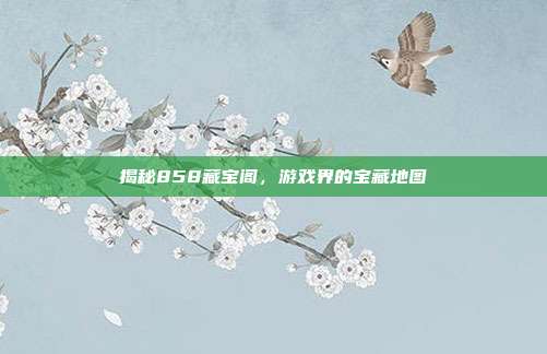 揭秘858藏宝阁，游戏界的宝藏地图