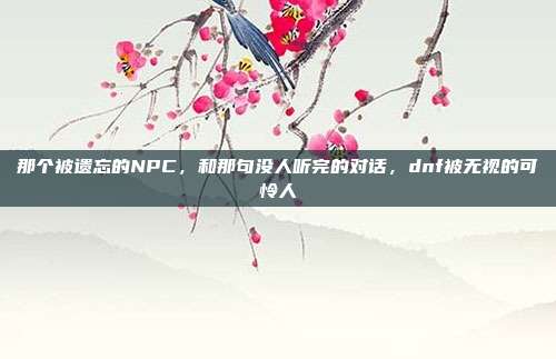 那个被遗忘的NPC，和那句没人听完的对话，dnf被无视的可怜人