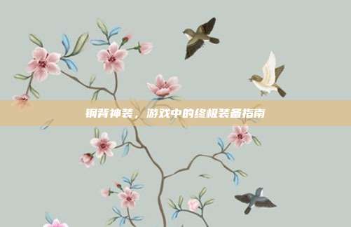 钢背神装,游戏中的终极装备指南