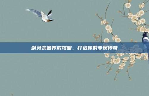 剑灵装备养成攻略,打造你的专属传奇
