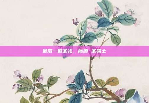 最后一道圣光，魔兽 圣骑士