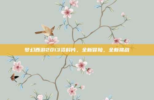 梦幻西游2013资料片,全新冒险,全新挑战