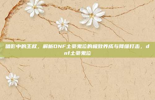 暗影中的王权，解析DNF土豪鬼泣的极致养成与降维打击，dnf土豪鬼泣