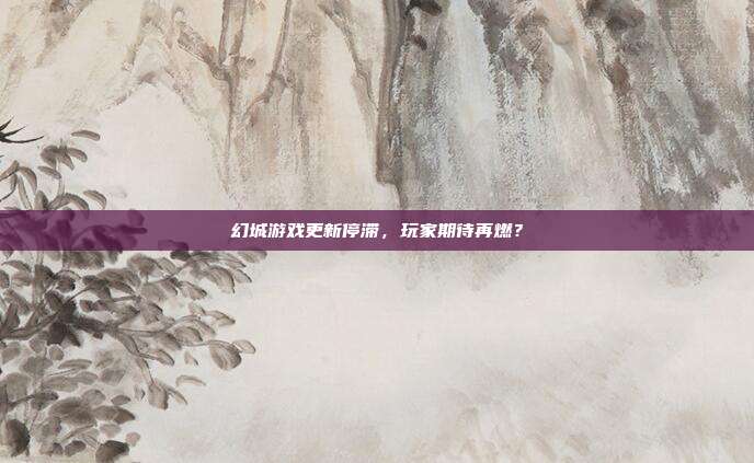 幻城游戏更新停滞,玩家期待再燃?