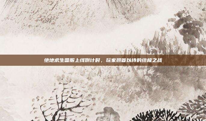 绝地求生国服上线倒计时,玩家翘首以待的终极之战