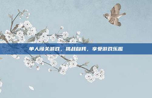 单人闯关游戏，挑战自我，享受游戏乐趣