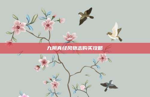九阴真经风物志购买攻略