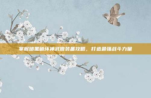 掌握暗黑破坏神武僧装备攻略,打造最强战斗力量