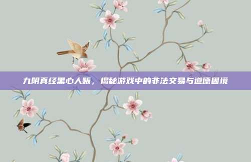 九阴真经黑心人贩,揭秘游戏中的非法交易与道德困境