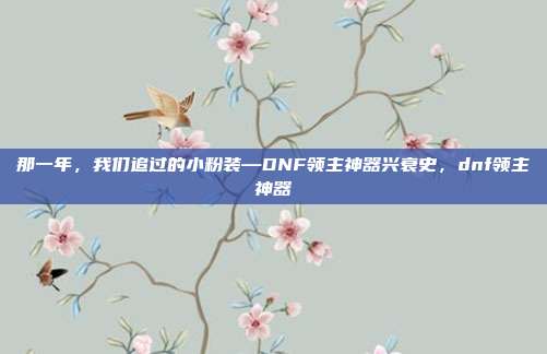 那一年，我们追过的小粉装—DNF领主神器兴衰史，dnf领主神器