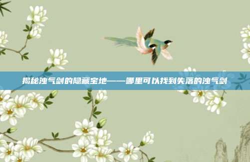 揭秘浊气剑的隐藏宝地——哪里可以找到失落的浊气剑