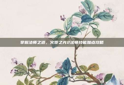 掌握法师之道，火炬之光2法师技能加点攻略