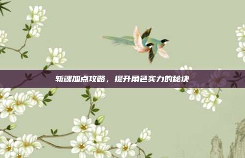 斩魂加点攻略，提升角色实力的秘诀