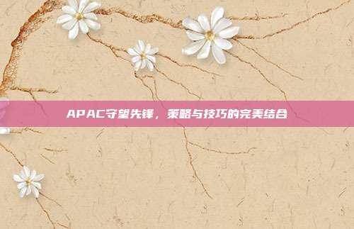 APAC守望先锋，策略与技巧的完美结合