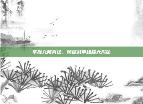 掌握九阴真经，镇派武学秘籍大揭秘