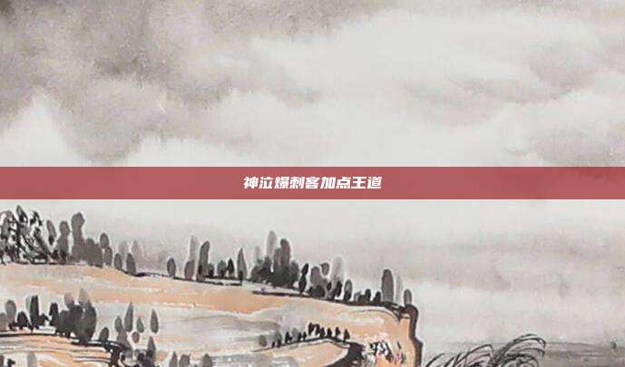 神泣爆刺客加点王道