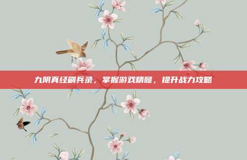 九阴真经刷兵录，掌握游戏精髓，提升战力攻略