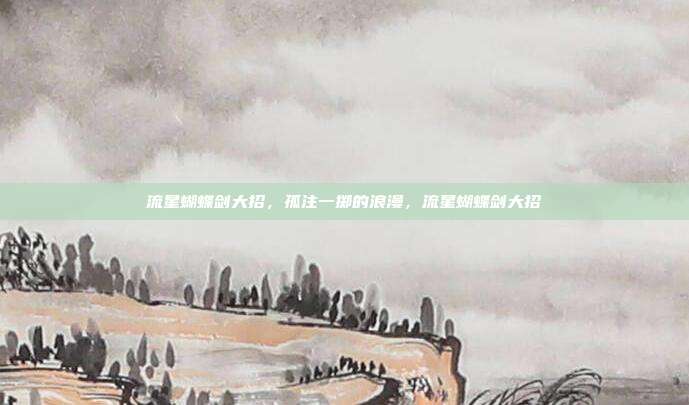 流星蝴蝶剑大招，孤注一掷的浪漫，流星蝴蝶剑大招