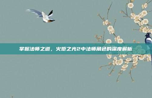掌握法师之道，火炬之光2中法师角色的深度解析