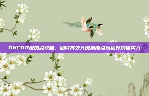 DNF80级加点攻略，如何高效分配技能点以提升角色实力