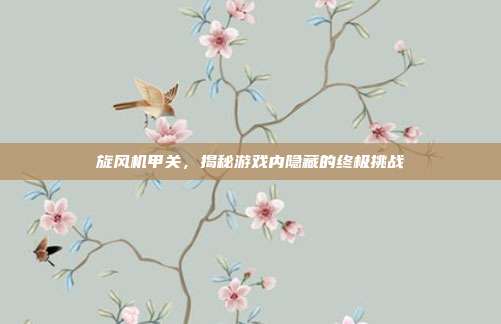 旋风机甲关，揭秘游戏内隐藏的终极挑战