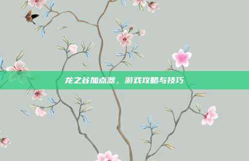 龙之谷加点器，游戏攻略与技巧