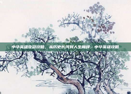 中华英雄夺冠攻略，从历史长河到人生巅峰，中华英雄攻略