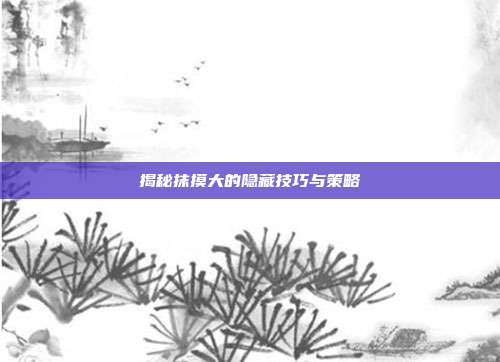 揭秘抹摸大的隐藏技巧与策略