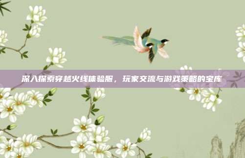 深入探索穿越火线体验服，玩家交流与游戏策略的宝库