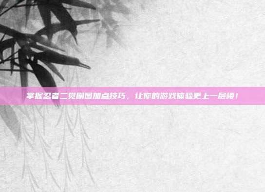 掌握忍者二觉刷图加点技巧，让你的游戏体验更上一层楼！