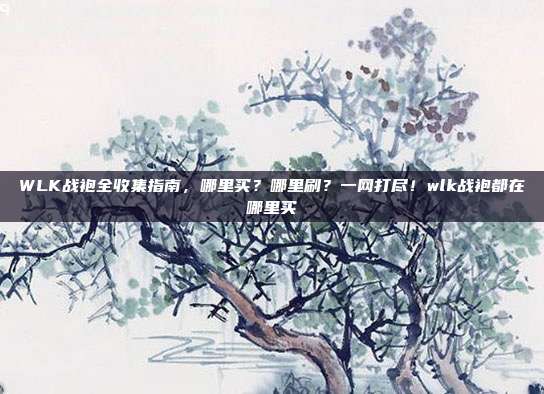 WLK战袍全收集指南，哪里买？哪里刷？一网打尽！wlk战袍都在哪里买