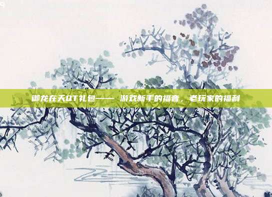 御龙在天QT礼包—— 游戏新手的福音，老玩家的福利