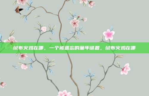 绒布火鸡在哪，一个被遗忘的童年谜题，绒布火鸡在哪