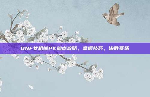 DNF女机械PK加点攻略，掌握技巧，决胜赛场
