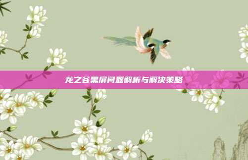 龙之谷黑屏问题解析与解决策略