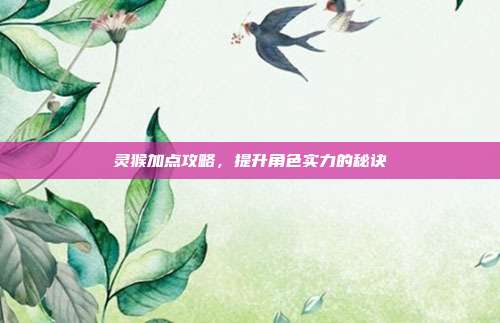 灵猴加点攻略，提升角色实力的秘诀
